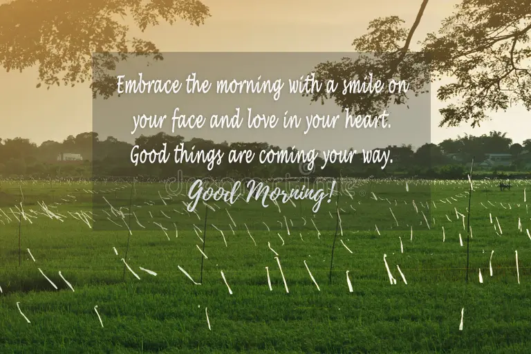 "Embrace the morning with a smile on your face and love in your heart. Good things are coming your way."