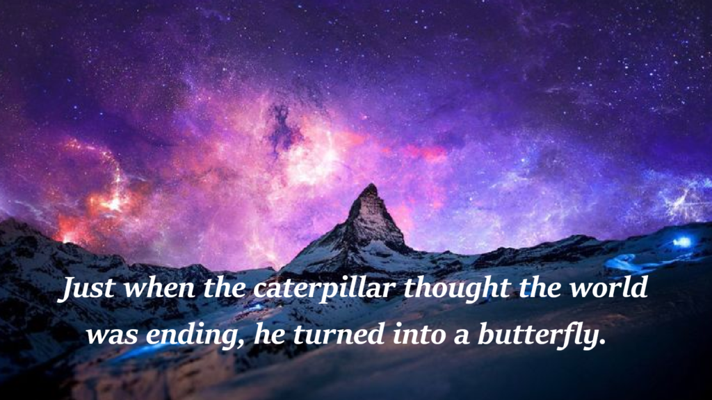 "Just when the caterpillar thought the world was ending, he turned into a butterfly." 